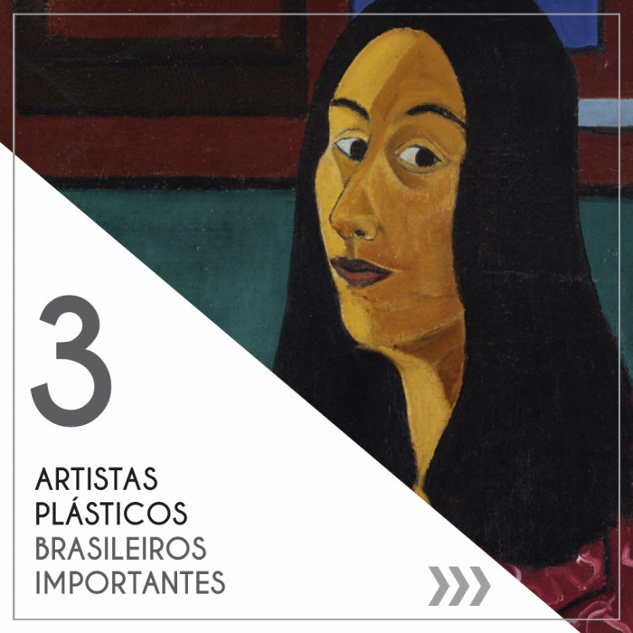 3 artistas plásticos brasileiros importantes.