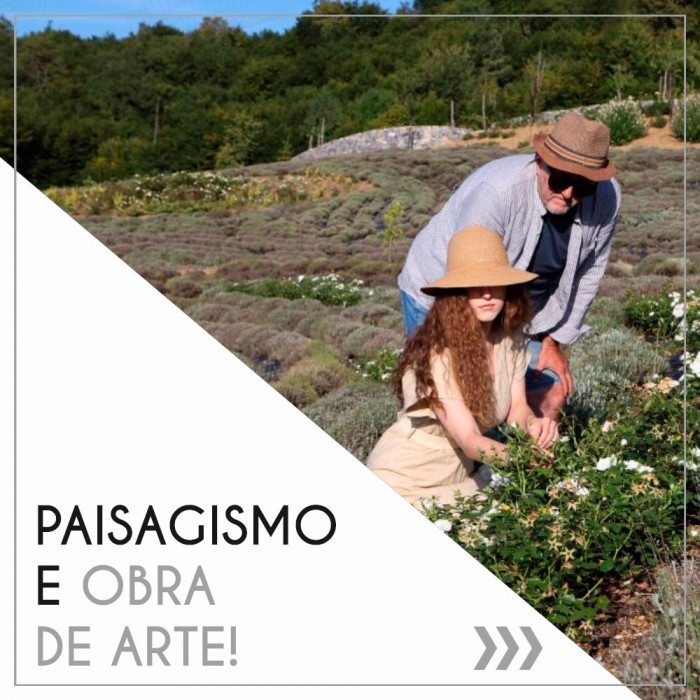 Paisagismo e obra de arte